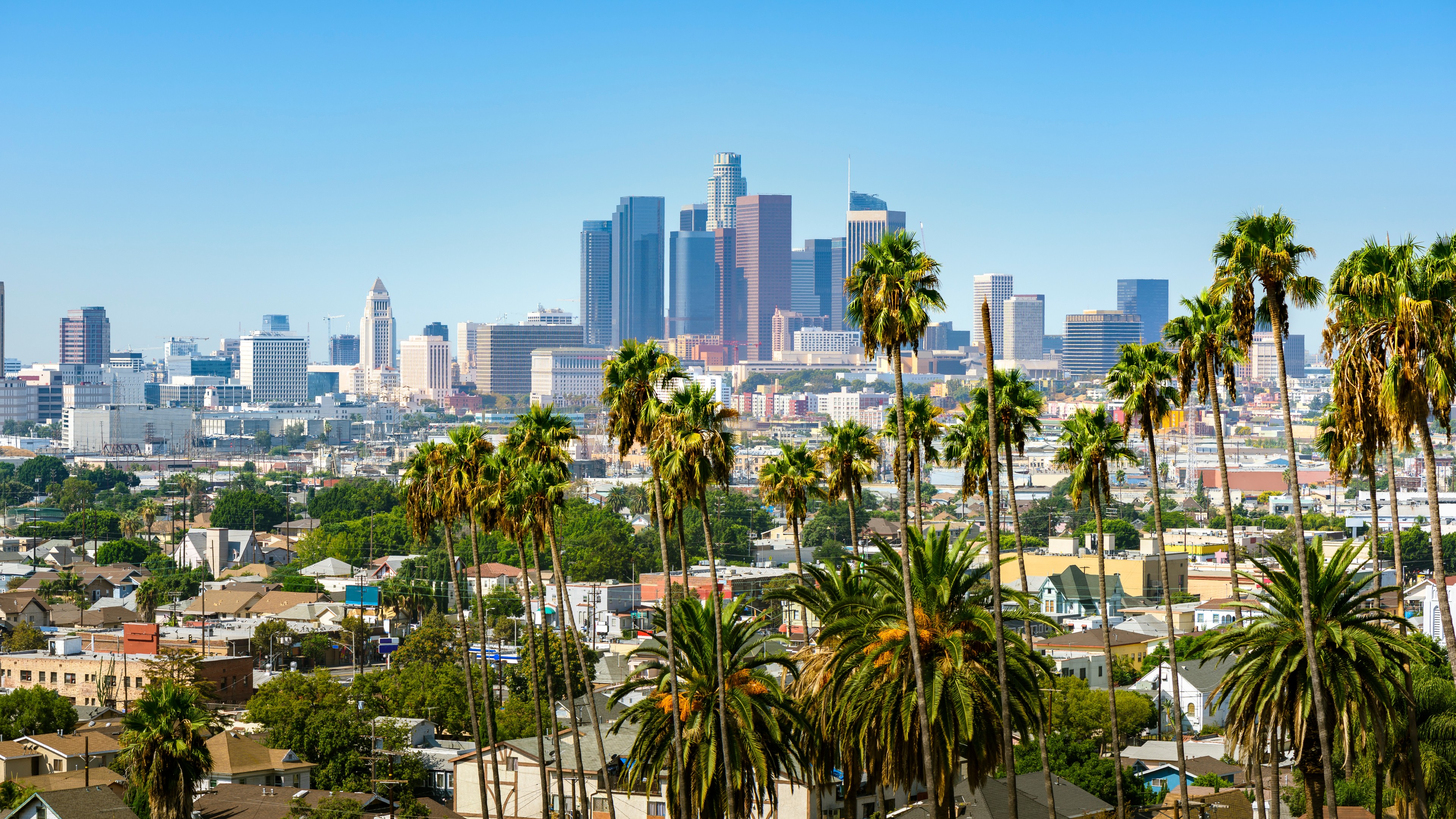 Los Angeles hills