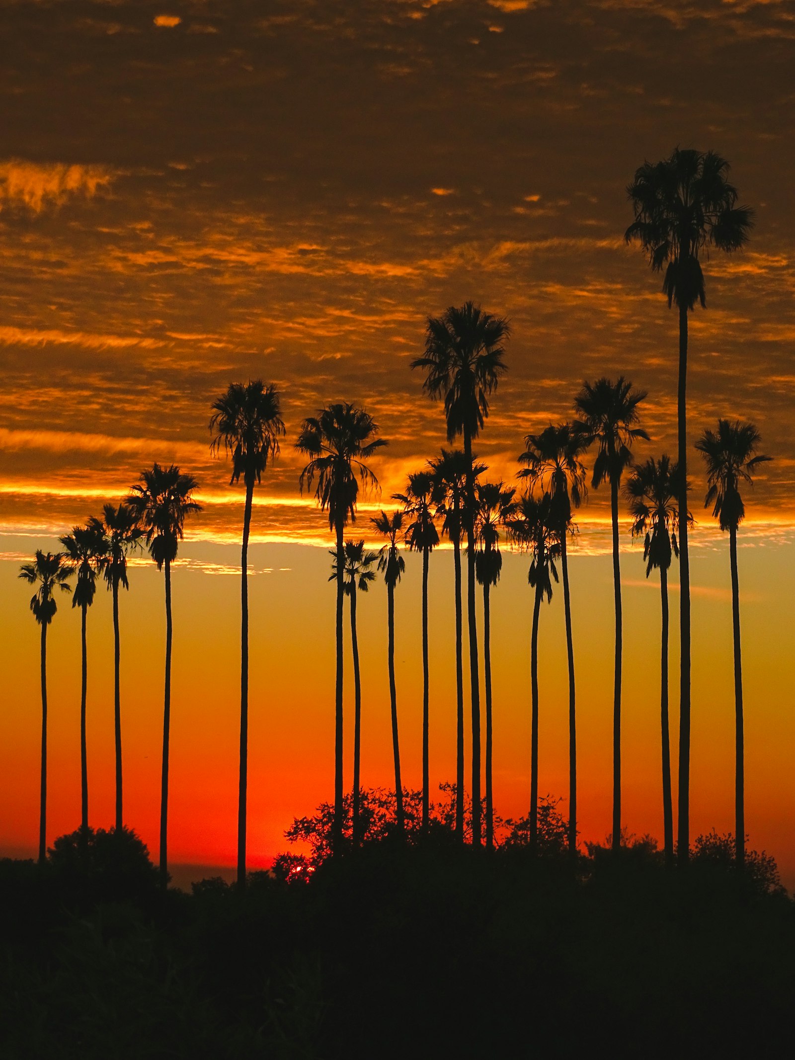 Los Angeles at golden hour
